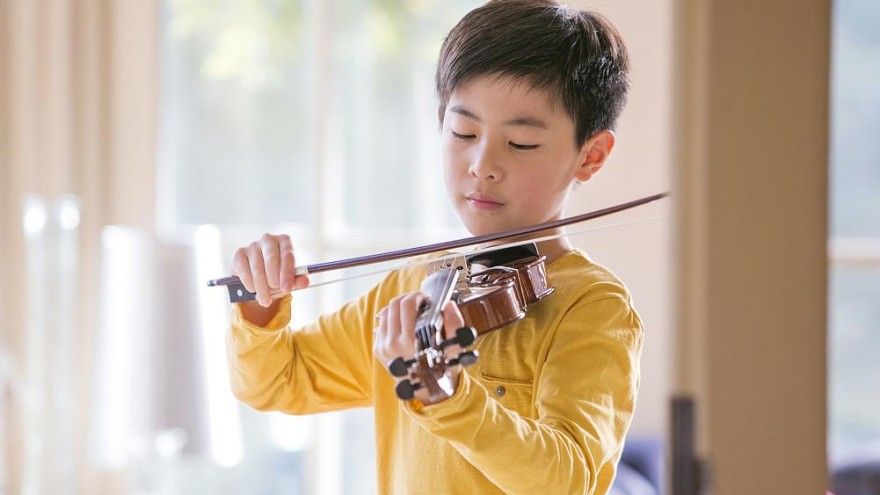 Three learning sites about the violin that must not be missed if you are interested!