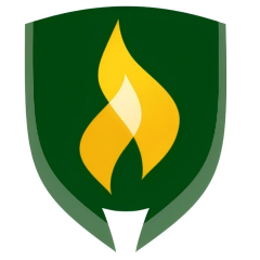 Rasmussen University - Aurora
