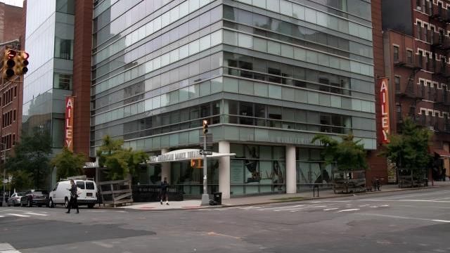 The Ailey School