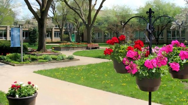 Divine Word College