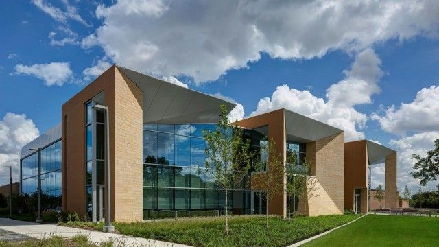 Walsh College