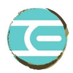 The Esthetic Institute