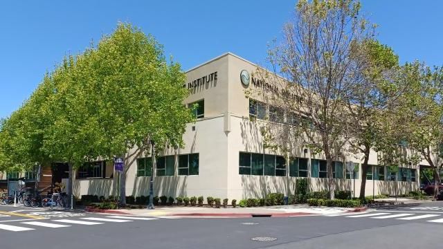National Holistic Institute