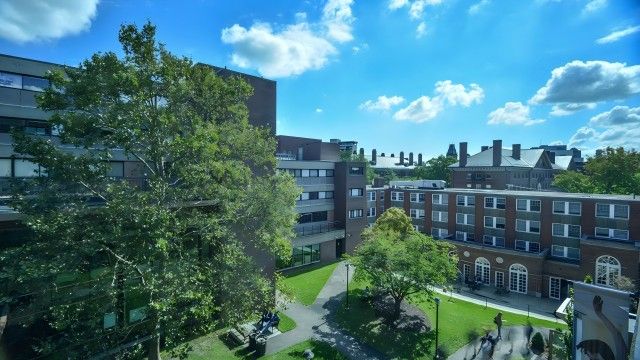 Lesley University