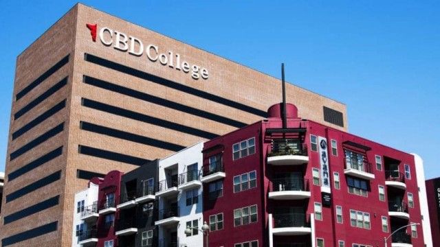 CBD College