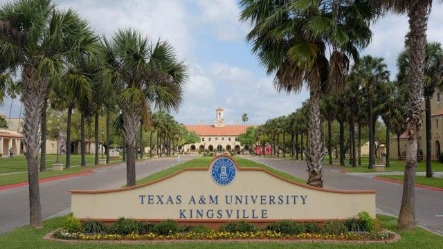 Texas A&M University - Kingsville